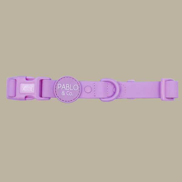 Pablo & Co. LAVENDER Waterproof Collar